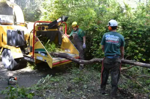 tree services Bay Minette